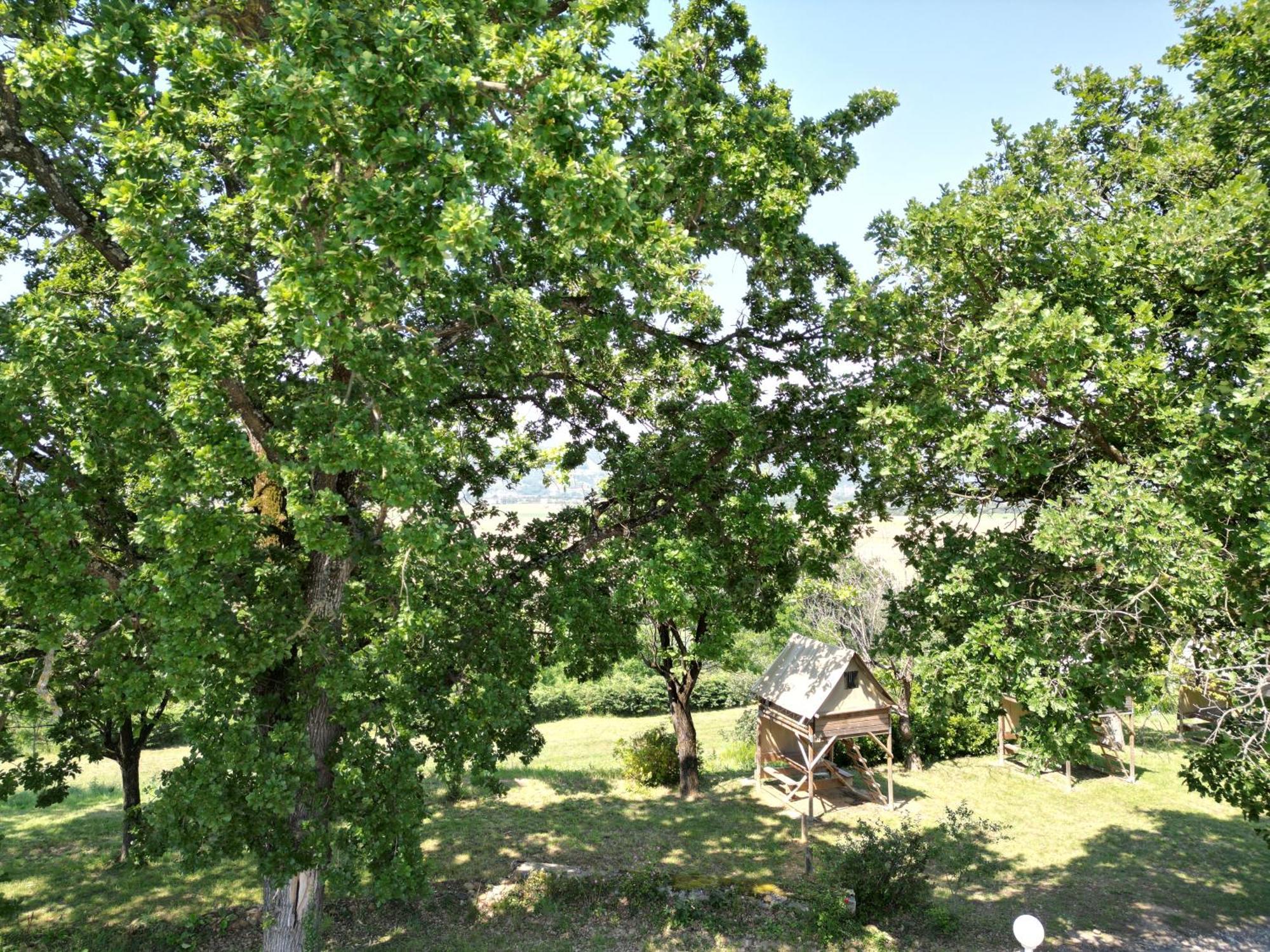 Camping Domaine De Senaud Albon Eksteriør billede